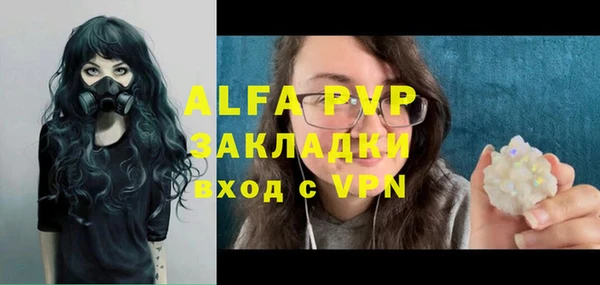 гашик Дмитровск