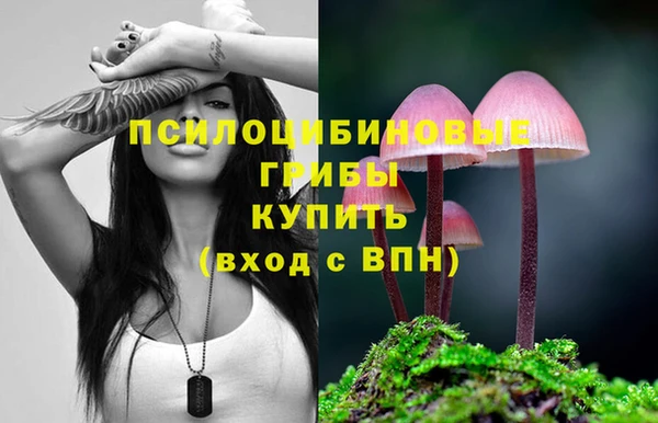 jwh Медвежьегорск