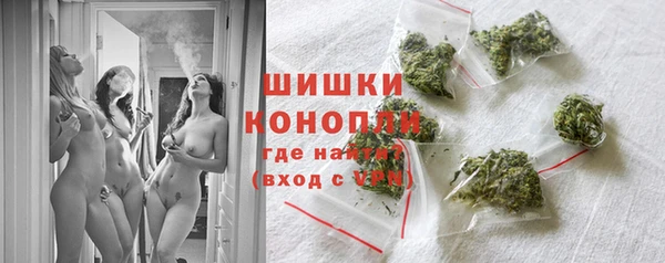 гашик Дмитровск