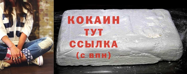 гашик Дмитровск