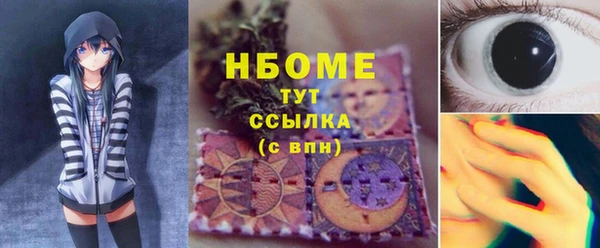 гашик Дмитровск