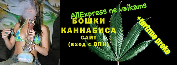 гашик Дмитровск